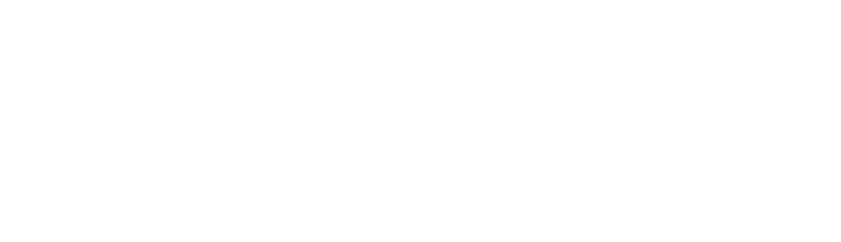 Webmasterei prange logo 2 weiß
