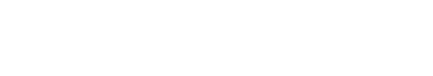 Webmasterei prange logo 3 weiß